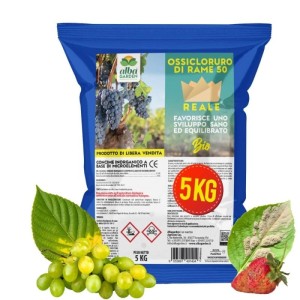 OSSICLORURO DI RAME REALE 50 - 5 Kg
