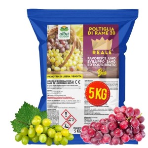 POLTI REALE 20 - 5 Kg