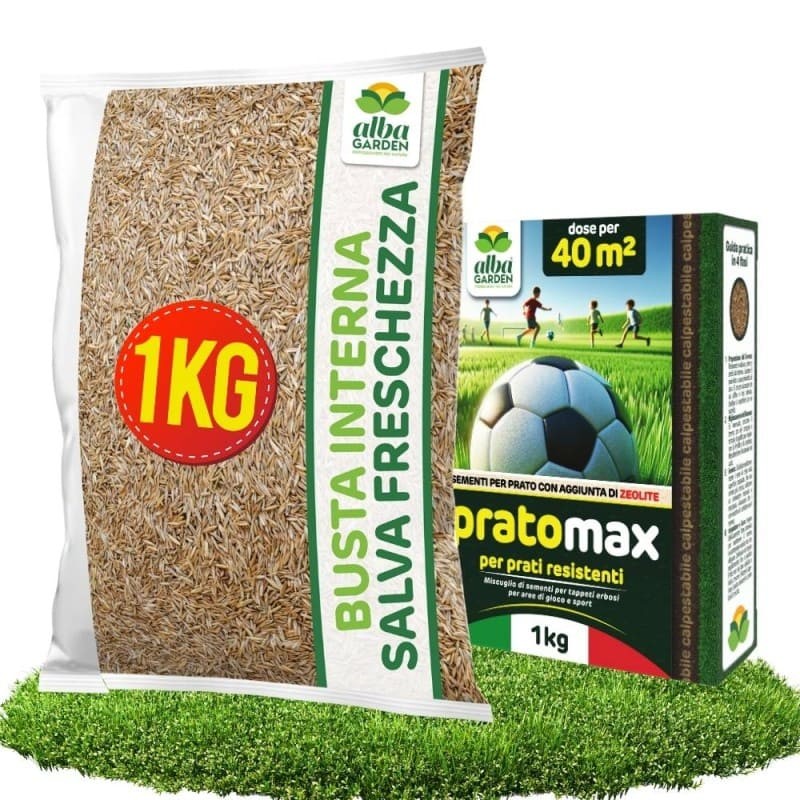 PRATO MAX SEME PRATO CALPESTABILE 1 Kg