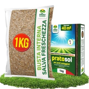 PRATO SOL SEME PRATO SOLEGGIATO 1 Kg