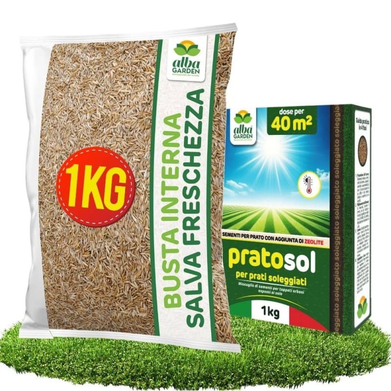 PRATO SOL SEME PRATO SOLEGGIATO 1 Kg PRATO SOL SEME PRATO SOLEGGIATO 1 Kg