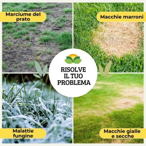 SEMPRE VERDE 500 ml