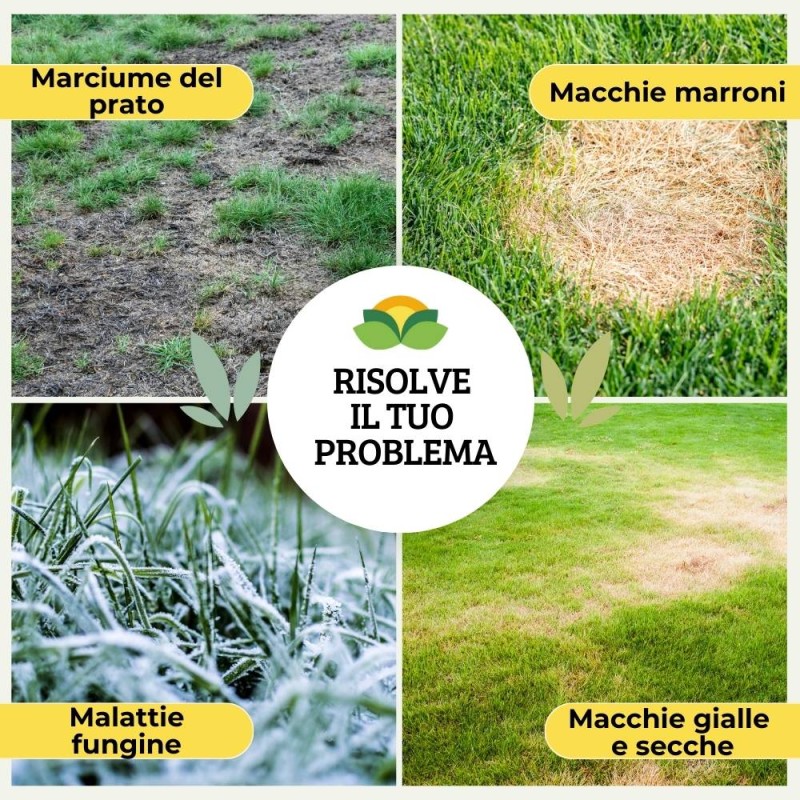 SYSTEM3 Acrilico 500ml Colore Foglia Verde Di Daler-Rowney - Colore Acrilico Per Artisti Made In UK