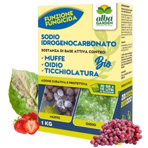SODIO IDROGENOCARBONATO 1 Kg