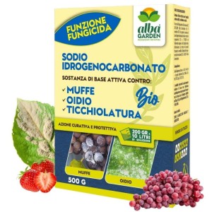 SODIO IDROGENOCARBONATO 500 g