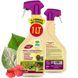 TRIPLA AZIONE EXTRA SPRAY 1 Lt RTU