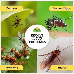 ZANZARE' CONCENTRATO 2 Lt