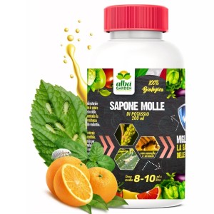 SAPONE MOLLE CONCENTRATO 200 ml