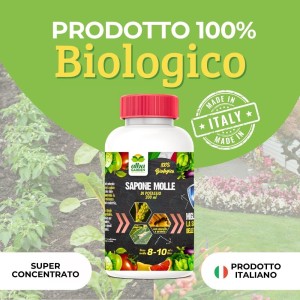 SAPONE MOLLE CONCENTRATO 200 ml