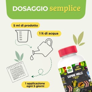 SAPONE MOLLE CONCENTRATO 200 ml
