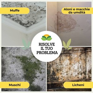 ANTIMUFFA SPRAY 600 g RTU