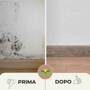 ANTIMUFFA SPRAY 600 g RTU