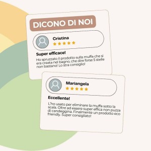 ANTIMUFFA SPRAY 600 g RTU