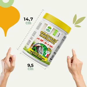 ORMOTONIC RADICANTE 500 g