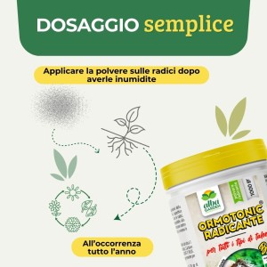 ORMOTONIC RADICANTE 1 Kg