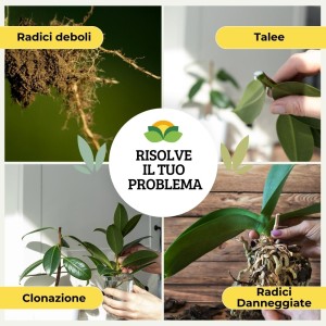 ORMOTONIC RADICANTE 1 Kg