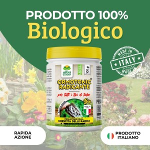 ORMOTONIC RADICANTE 100 g