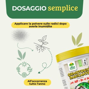 ORMOTONIC RADICANTE 100 g