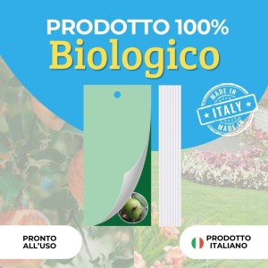 TRAPPOLA CROMOTROPICA VERDE MOSCA DELL'OLIVO 5 pz