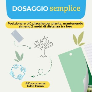 TRAPPOLA CROMOTROPICA VERDE MOSCA DELL'OLIVO 5 pz