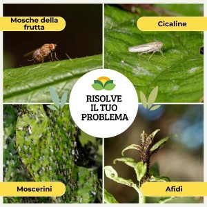 TRAPPOLA CROMOTROPICA GIALLA MOSCA FRUTTA - AFIDI 5 pz