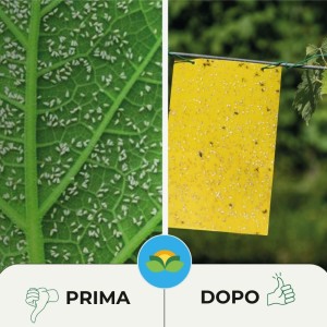 TRAPPOLA CROMOTROPICA GIALLA MOSCA FRUTTA - AFIDI 5 pz