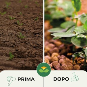 ARGILLA ESPANSA 5 Lt