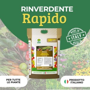CONCIME GRANULARE SOLFATO AMMONICO 4 Kg