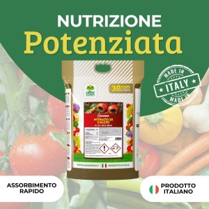 NITRATO DI CALCIO GRANULARE 4 Kg