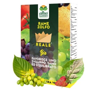 RAME ZOLFO POLVERE BAGNABILE 250 g
