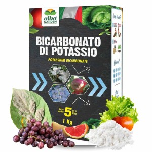 BICARBONATO DI POTASSIO 1 Kg