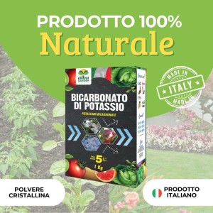 BICARBONATO DI POTASSIO 1 Kg