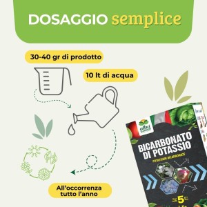 BICARBONATO DI POTASSIO 1 Kg