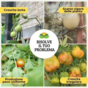 CONCIME GRANULARE BIO PER POMODORI 1 Kg