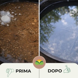 TIGREX COMPRESSE 20 g