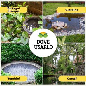 TIGREX COMPRESSE 20 g