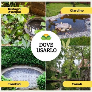 TIGREX COMPRESSE 100 g