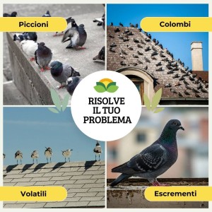DISABITUANTE PICCIONI SFERE DI CELLULOSA 100 g x 4 pz