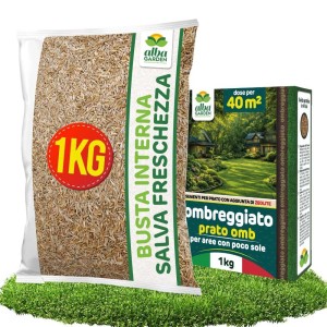 PRATO OMB SEME PER PRATO OMBREGGIATO 1 Kg