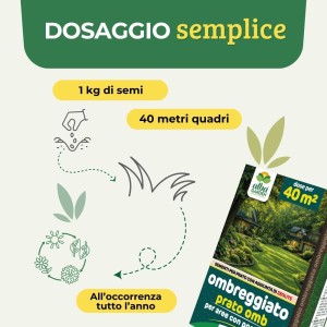 PRATO OMB SEME PER PRATO OMBREGGIATO 1 Kg