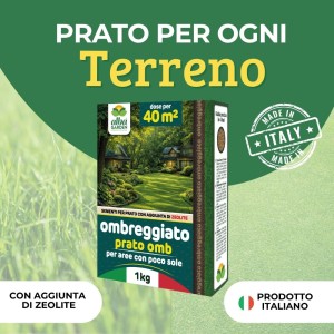 PRATO OMB SEME PER PRATO OMBREGGIATO 1 Kg