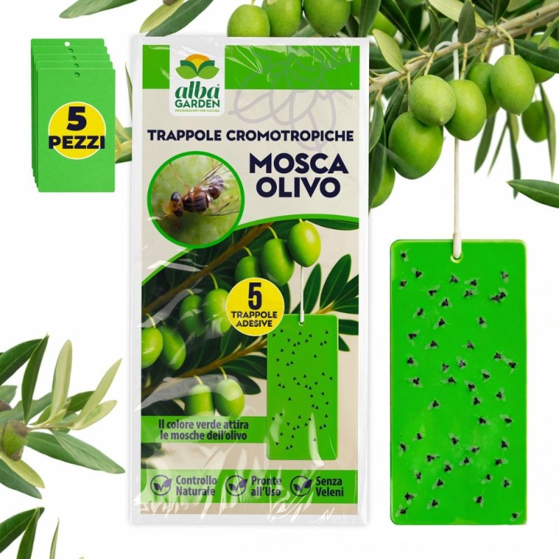 TRAPPOLA CROMOTROPICA VERDE MOSCA DELL'OLIVO 5 pz