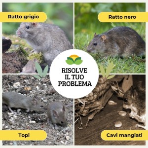 ALBATOP TRAPPOLA PER TOPI TUNNEL 1 pz