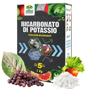 BICARBONATO DI POTASSIO 1 Kg