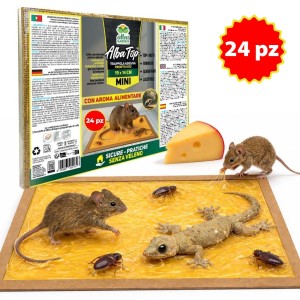 ALBATOP TRAPPOLA ADESIVA PER TOPI MINI 24 pz (12 Conf.)