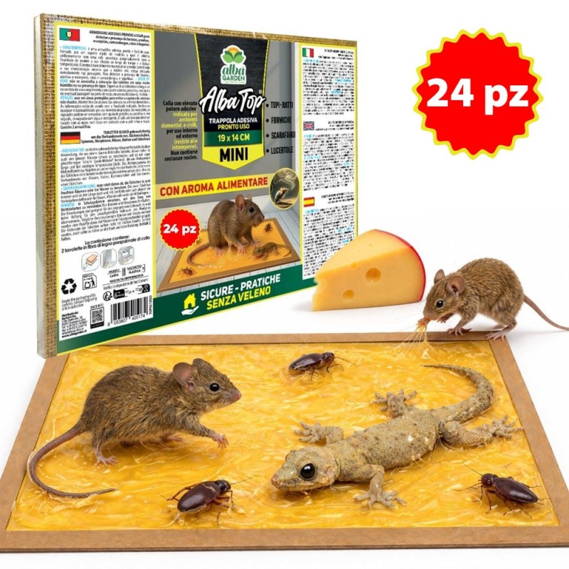 ALBATOP TRAPPOLA ADESIVA PER TOPI MINI 24 pz (12 Conf.)