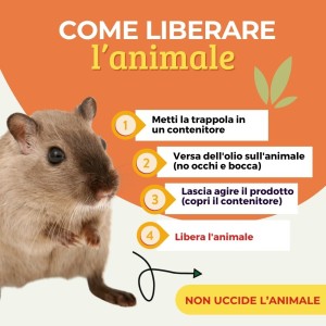 ALBATOP TRAPPOLA ADESIVA PER TOPI MINI 24 pz (12 Conf.)