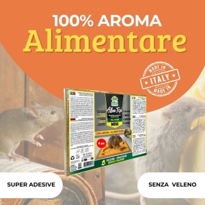 ALBATOP TRAPPOLA ADESIVA PER TOPI MINI 6 pz (3 Conf.)