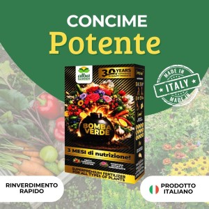 CONCIME GRANULARE SUPERPREMIUM BOMBA VERDE 1 Kg