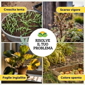 CONCIME GRANULARE SUPERPREMIUM BOMBA VERDE 1 Kg